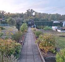 Kleingarten in bester Lage und komplett ausgestattet - Leuna