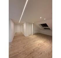 Neu kernsanierte Wohnung in Treuchtlingen