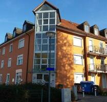 Studenten-Wohnung ab 01.08.2025 zu vermieten - Dresden Plauen