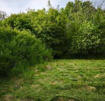Gartengrundstück in Gaggenau bei RastattKarlsruhe