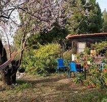 Paradiesgarten La Palma rustikal für digital Nomads - Hamburg Wandsbek