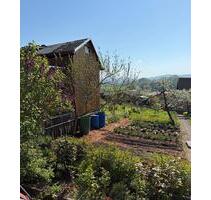 Wunderschöner Garten mit Laube - 1.200,00 EUR Kaltmiete, ca.  0,00 m² in Plauen (PLZ: 08523)