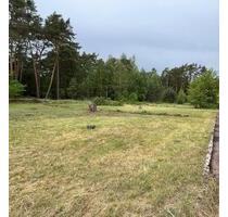 Natur pur - Freizeitgrundstück mit altem Haus - Ziesar