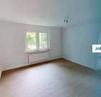 **Helle und sanierte 3-Zimmer-Wohnung mit Badewanne** - Ratzeburg