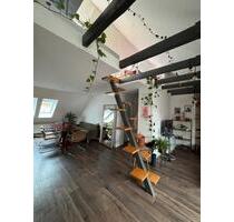 Zwischenmiete zentral Hannover 5.12-27.12.