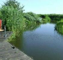 Ferienwohnung • 4 Personen • direkt am Balmer See • angeln - Usedom