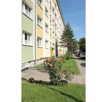 gemütliche 1 Raum Wohnung mit Badewanne - Döbeln
