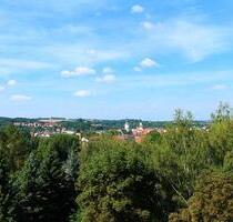 1 Raum Wohnung mit Blick ins Grüne - Döbeln