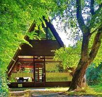 Ferienhaus Insel Texel Haustiere erlaubt - Rietberg
