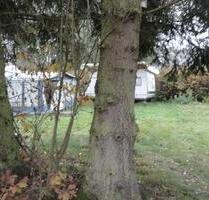 Wiesenstellplatz mit zwei Wohnwägen - Kirtorf