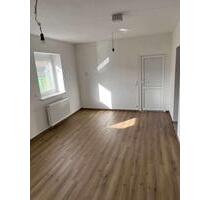 1- Zimmer EG-Wohnung in Bad Mergentheim-Wachbach