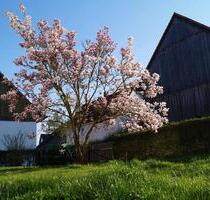 ELW 4 ZKB, Terrasse und Garten in Großgarnstadt zu vermieten - Ebersdorf bei Coburg