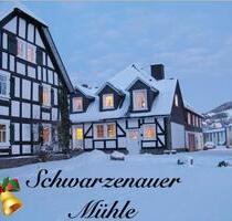 **Ferienhaus für 18 Pers. nahe Sauerland Weihnachten noch frei!** - Bad Berleburg
