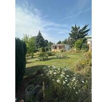 Garten im Mansfelder Grund abzugeben - Ahlsdorf