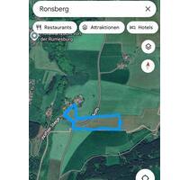 Grünlandfläche in der Gemarkung Ronsberg - Stötten am Auerberg