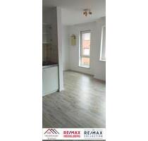 Möbliertes 1 Zimmer Apartment in Ludwigshafen zu vermieten. - Ludwigshafen am Rhein