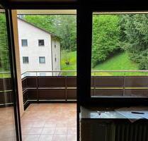 Schöne möblierte 1-Zimmerwohnung mit Balkon - Unterreichenbach