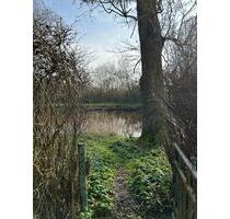 Erstbezug 3-Zi-WHG im 1 OG - 1.050,00 EUR Kaltmiete, ca.  95,19 m² in Brake (Unterweser) (PLZ: 26919)