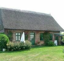 Ferienhaus Ostsee Usedom 6 Personen 1 Hund in 800 m Hundestrand