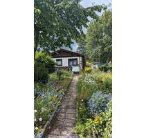 Pachtgarten in Kleingartenverein mit Gartenhaus - Ilmenau