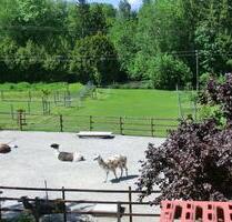 Ferienwohnung mit Blick auf die Lama-Weide - Fuchstal