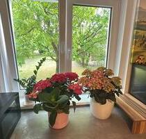 Wohnung tauchen - 1.300,00 EUR Kaltmiete, in Hamburg (PLZ: 22043) Wandsbek