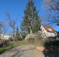 Renoviertes Einfamilienhaus mit großem Garten in sonniger Lage - Weil der Stadt