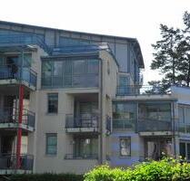 Moderne, lichtdurchflutete 2 Zimmer Wohnung mit grosser Terrasse - Oberursel (Taunus)