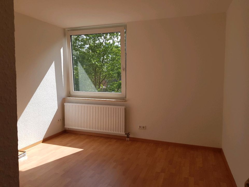 Freies, renoviertes 1-Zi-Apartment,neue Single-Küche in Nienberge - Münster Gievenbeck