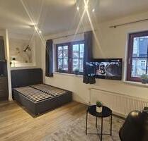 Modern möbliertes Apartment 1-Raum-Wohnung 24 m² zur Miete - Quedlinburg