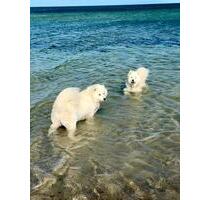 Ferienwohnung an der Ostsee bei Heiligenhafen