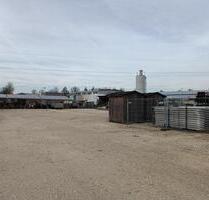 Gewerbe Freifläche in Leipheim - 2.080qm