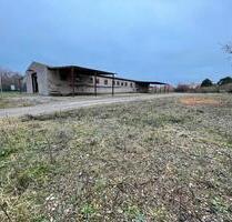 3741 m² Gewerbegrundstück mit Kalthalle zur B105 - Bentwisch
