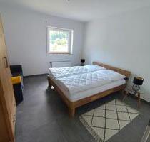 Mietwohnungen Möbliert - 450,00 EUR Kaltmiete, ca.  42,00 m² in Niederwörresbach (PLZ: 55758)
