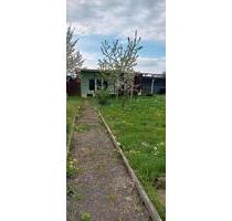 Garten pachten - 102,00 EUR Kaltmiete, ca.  0,00 m² in Aschersleben (PLZ: 06449)
