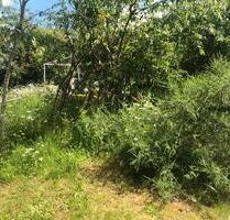 TinyNaturgarten - 300,00 EUR Kaltmiete, ca.  0,00 m² in Neu-Anspach (PLZ: 61267)