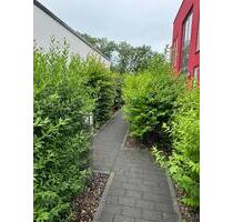 Trierweiler, Am Rothfeld1, 4 ZKB Wohnung, große Terrasse, frei