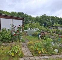 Garten abzugeben - 4.000,00 EUR Kaltmiete, ca.  0,00 m² in Greifswald (PLZ: 17489)