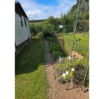 Pacht Garten - 3.200,00 EUR Kaltmiete, ca.  0,00 m² in Eisenhüttenstadt (PLZ: 15890)