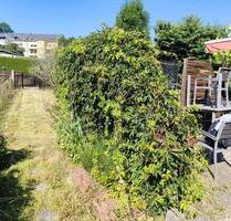 Garten 09114 - 1.250,00 EUR Kaltmiete, ca.  0,00 m² in Chemnitz (PLZ: 09119) Kapellenberg