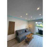Fully Equipped Appartment-Central Heidelberg,