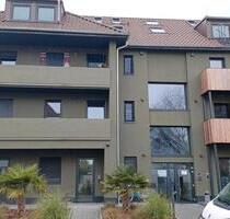 Mannheim Sandhofen 1 bis 3 Zimmer wohnungen