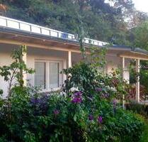 Ferienhaus Ostsee am Wald 4 Personen Hunde ok Garten Zaun - Klütz
