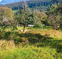 Streuobstwiese in Tischardt - 1.940,00 EUR Kaltmiete, ca.  0,00 m² in Frickenhausen (PLZ: 72636)