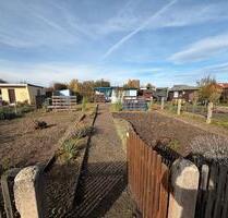 Kleingarten in Engelsdorf abzugeben - Leipzig Ost
