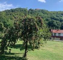 Sonniges Grundstück - 43.000,00 EUR Kaltmiete, ca.  0,00 m² in Sollstedt (PLZ: 99759)