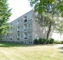 Frischer Wind, frische Farben: Gestalten Sie Ihr neues Zuhause nach Lust und Laune. - Hamburg Altona