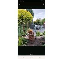 Schrebergarten - 2.850,00 EUR Kaltmiete, ca.  0,00 m² in Wilhelmshaven (PLZ: 26382)