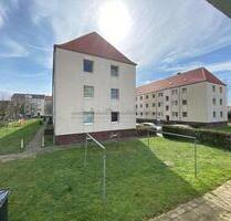 Besichtigung 28.11. um 14 Uhr! Frisch renovierte 3 Zimmer Wohnung in sanierter, ruhiger Wohnanlage - Dessau-Roßlau