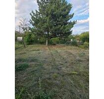 Garten zu verpachten - 260,00 EUR Kaltmiete, ca.  0,00 m² in Köthen (Anhalt) (PLZ: 06366)